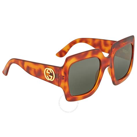 gucci havana optical glasses|gucci overzi sunglasses.